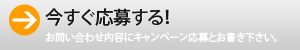 礹